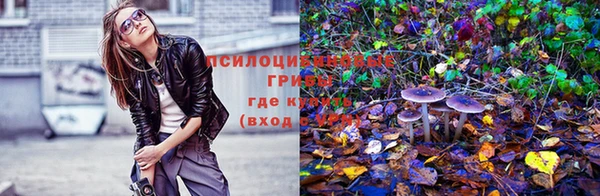 спиды Лихославль