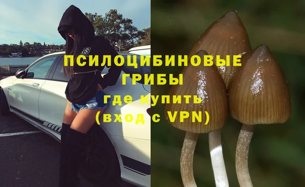 не бодяженный Липки