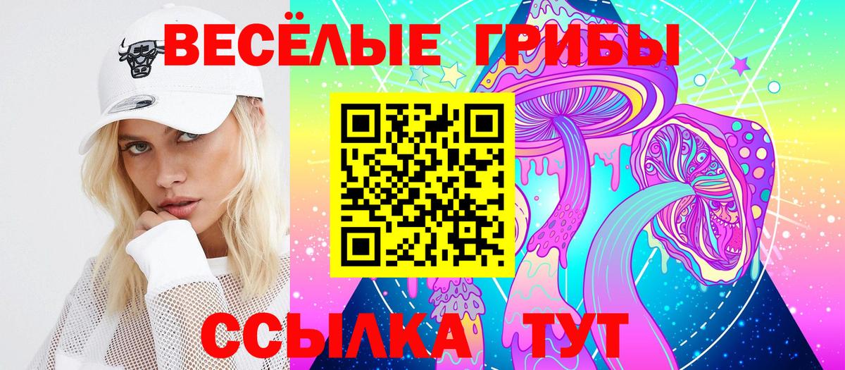 Галлюциногенные грибы GOLDEN TEACHER  Вход с VPN  Саранск  Псилоцибиновые грибы Cubensis 