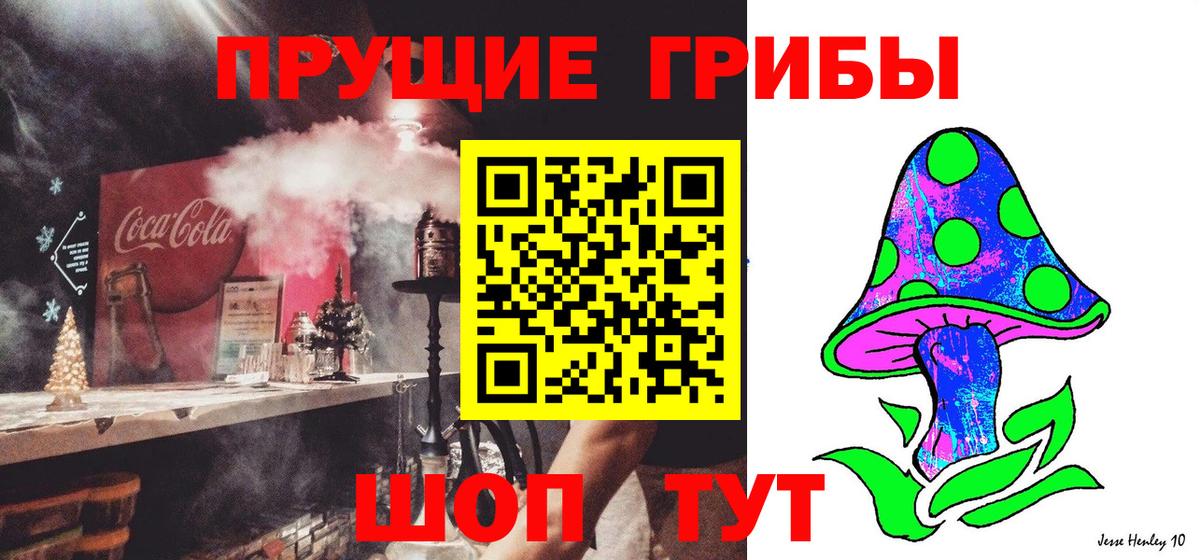 Галлюциногенные грибы прущие грибы Саранск