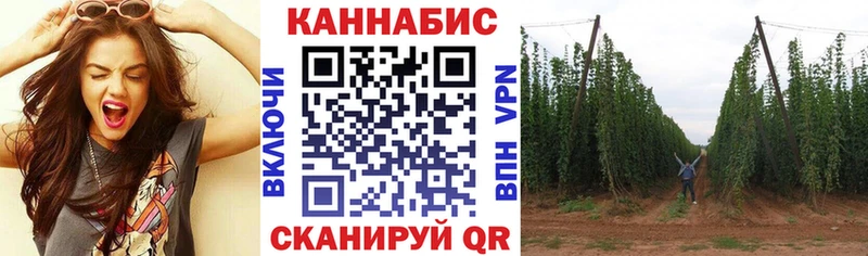 Бошки Шишки план  что такое наркотик  Саранск 